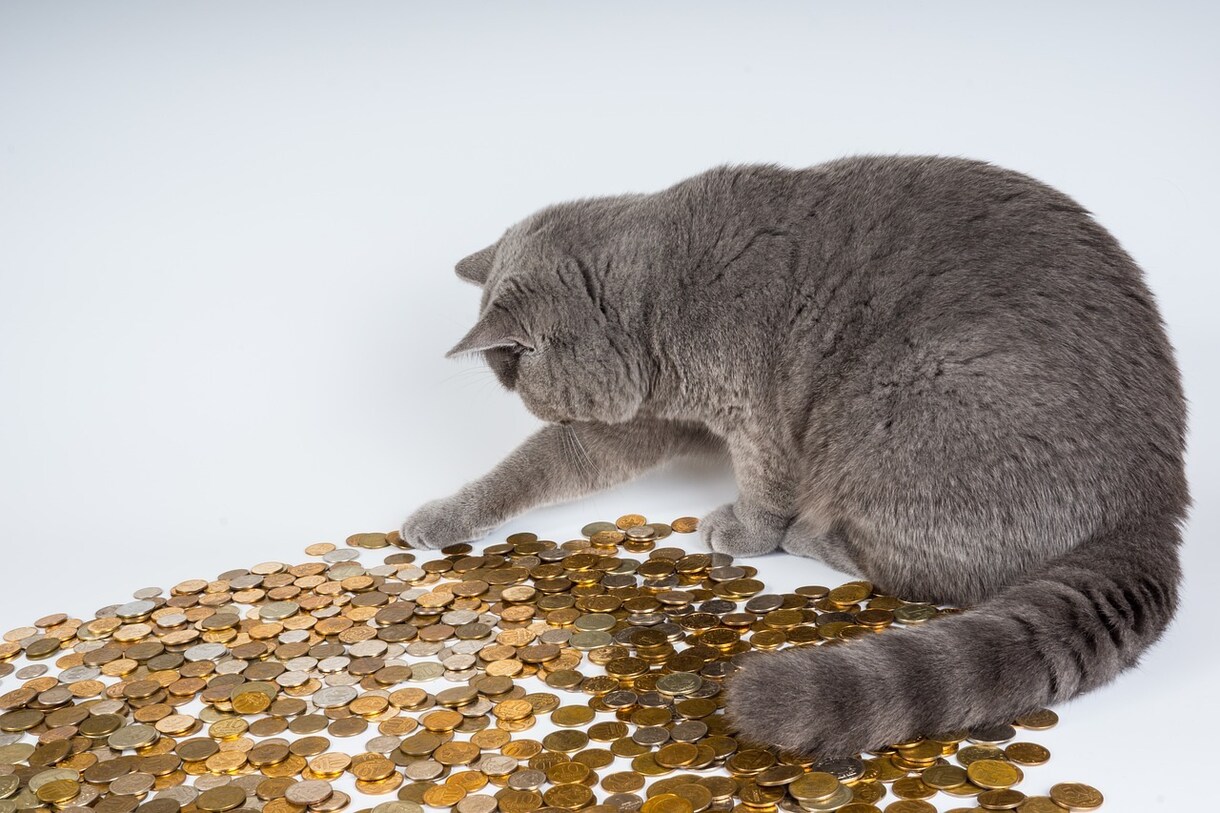 お金にまつわる疑問聞かせてください。答えていきます なんとなく将来に不安があって、なんとなくお金を貯めたい人へ イメージ1