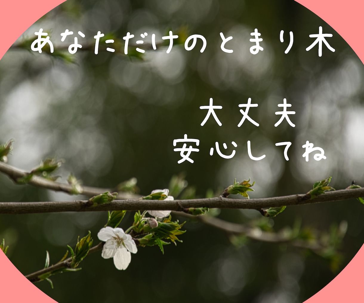 あなたの心とお体の声をお聴きし、優しく寄り添います 電話が苦手な方　あなたのペースで焦らずにお話ができます♪ イメージ6