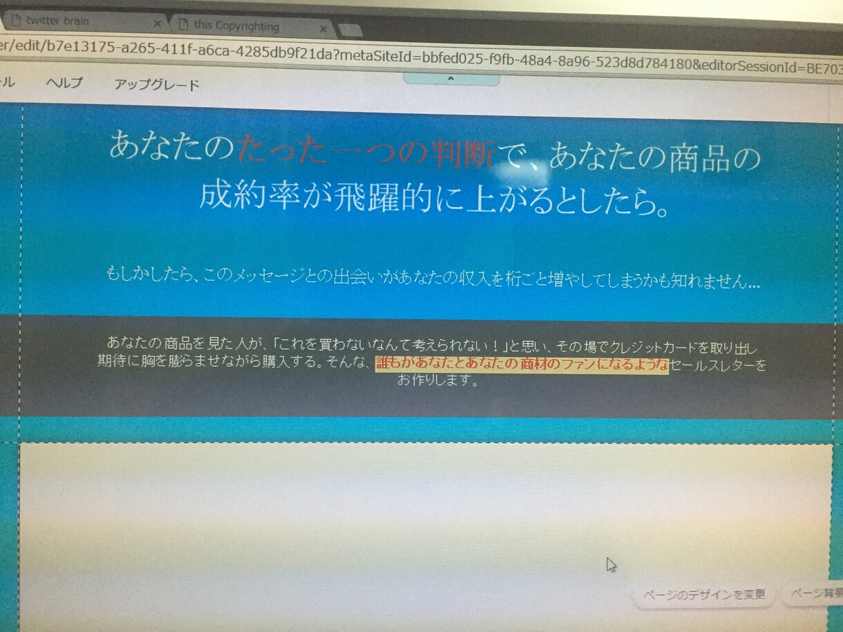 海外の人の目を釘付けにする輸出品のコピーを書きます 相場を無視し高価格であなたの輸出品を売りまくる唯一のサービス イメージ1