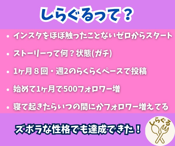 1ヶ月８投稿でフォロワー500人増えた方法教えます インスタフォロワー1000人を目指す実戦記そのままお伝え！ イメージ4