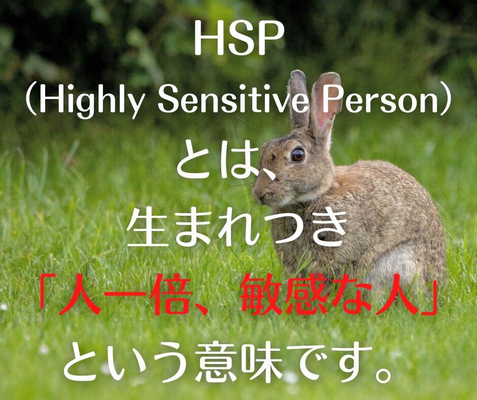 HSPの人間に質問のある人、私がお答えします HSPの人間は思わぬところで疲れを感じています イメージ2