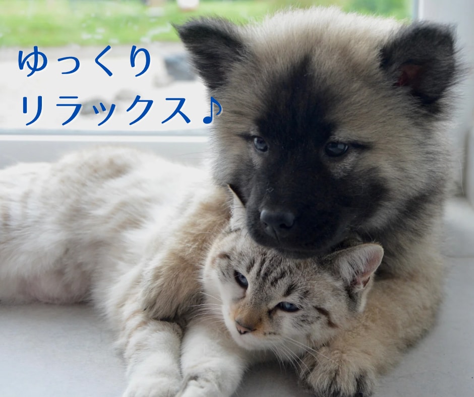 立ち寄り電話✨１分だけも⭕️お話し相手になります すき間時間/お試し/クーポン/ポイント/雑談/愚痴/話し相手 イメージ9