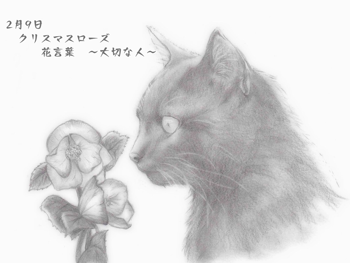 可愛い「ウチの子」を誕生花と共にお描きします 大事なペットのお顔を誕生花を添えて鉛筆画に イメージ2