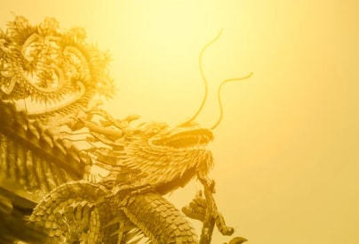 高次元の四神を貴方の四方に配置し強力結界を作ります 嫉妬・いじめ・生霊を祓う！四神の強力守護結界と5つの気功技術 イメージ4