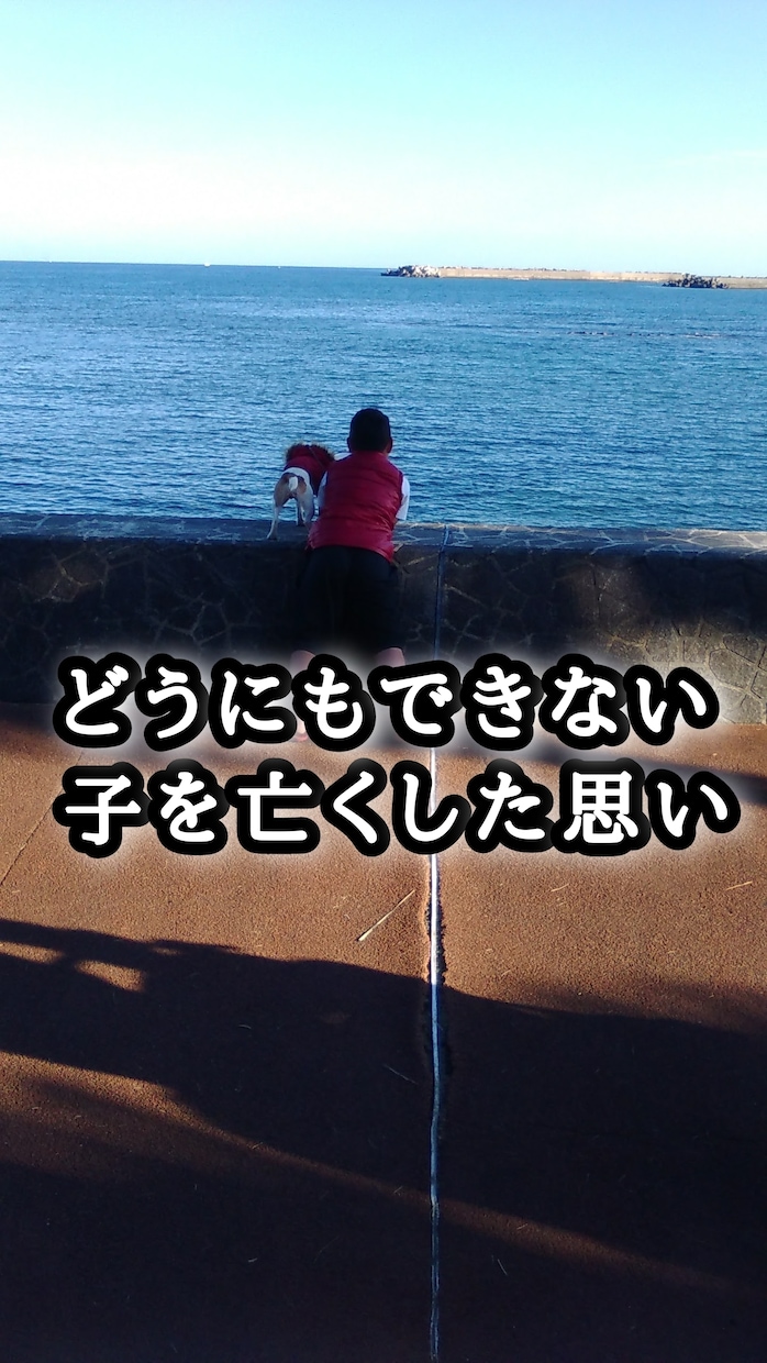 子に先に逝かれたわたしがあなたの悩み聞きます 日々悩み辛く行き場のない思い、同じ立場だからこそ共感できる イメージ1