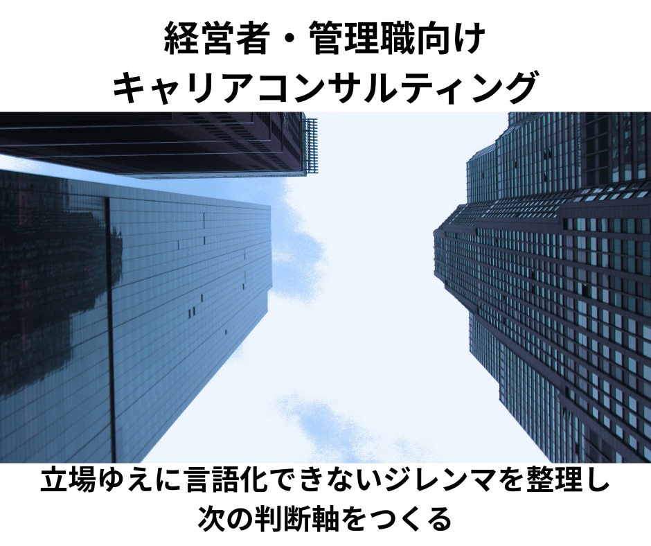 キャリア相談、キャリアカウンセリングします 現役人事が、企業側とキャリア支援の２つ視点でキャリア分析 イメージ1