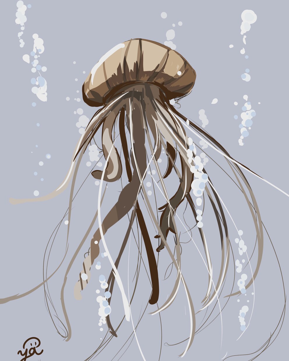 クラゲの一枚絵を描きます 色や形色々なクラゲを描きます！ イメージ2