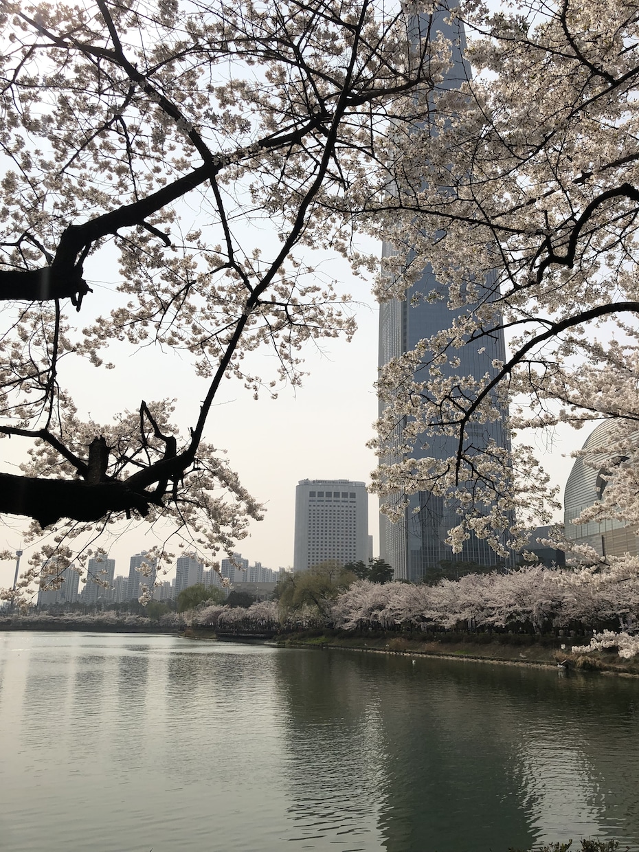 初級韓国語の勉強をお手伝いします 1から韓国語を始めたい初心者の方に、勉強のお手伝いをします！ イメージ1