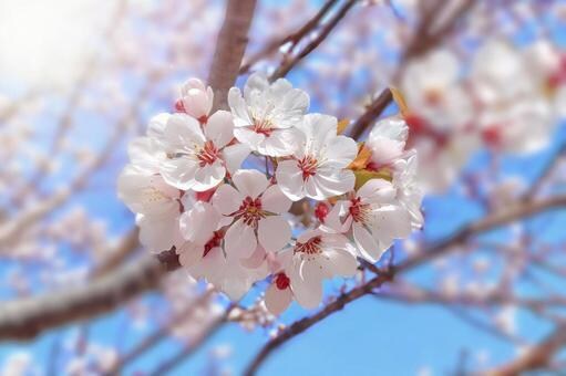 ちょっと聞いて♡相談、雑談など何でも受け止めます どんな話題でもOK！あなたのお話ししたいことを話してください イメージ2