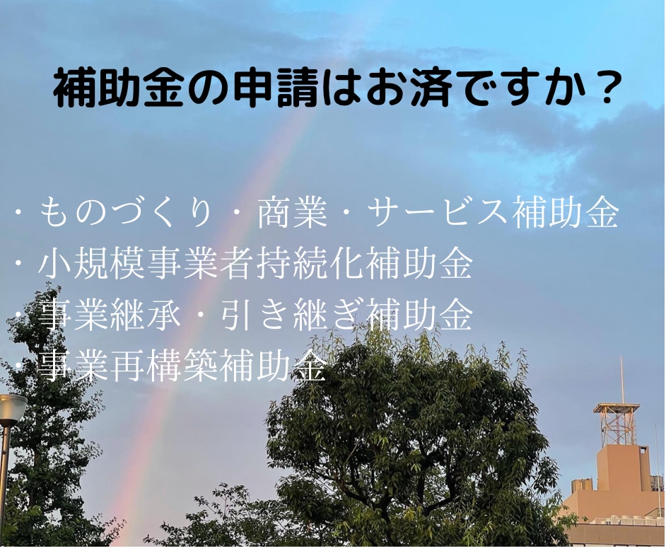 補助金・助成金の申請、採用業務を実務で貢献します ご相談可。昨年の補助金助成金承認100％。元リクルートHR イメージ2
