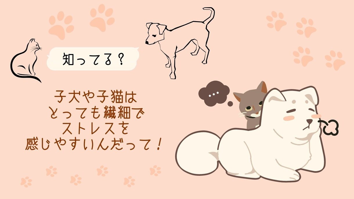子犬・子猫と笑顔で暮らせる秘訣がわかります 奇跡の確率で出会ったわんにゃんとハッピーライフを送りましょう イメージ1