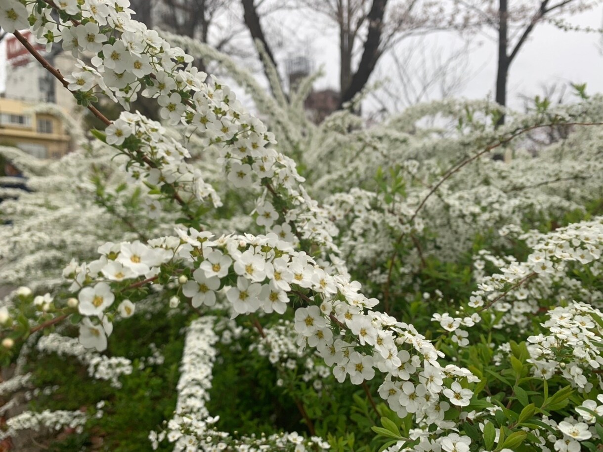 お話したくさん聞きます 皆様の愚痴悩み相談聞かせてください イメージ1