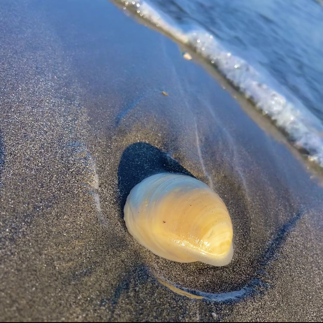 海の写真を提供します 海の写真です。ポストカードにしたり、スマホの壁紙に使えます イメージ1