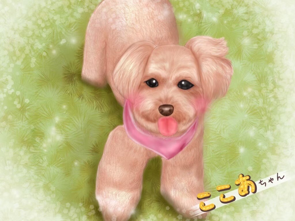 ペットちゃん限定イラスト作成します 大好きなあの瞬間をイラストで残しませんか？ イメージ3