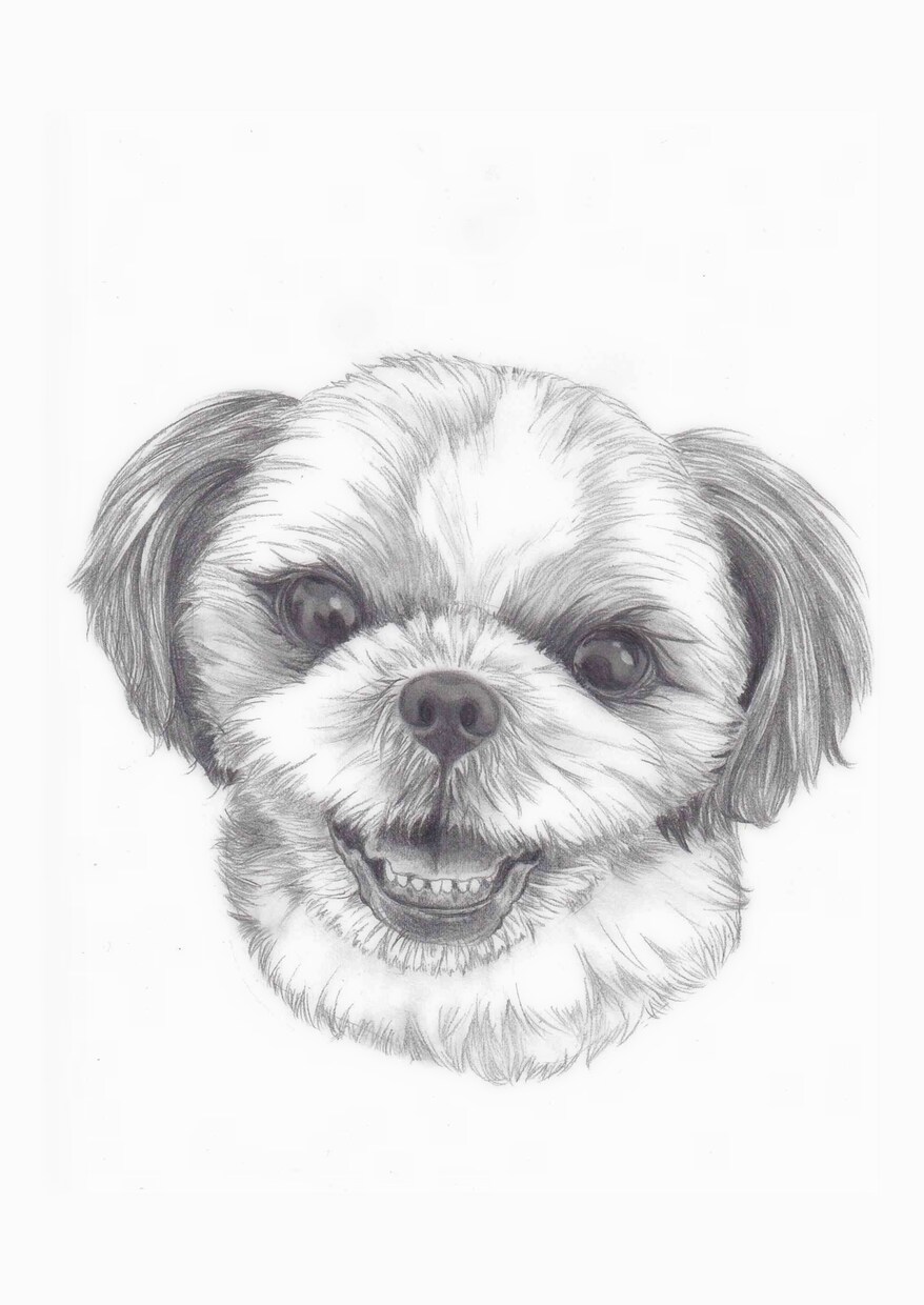 お写真をもとに鉛筆画をお描きします 大事なペットの愛すべきお顔を温かみある絵に イメージ8