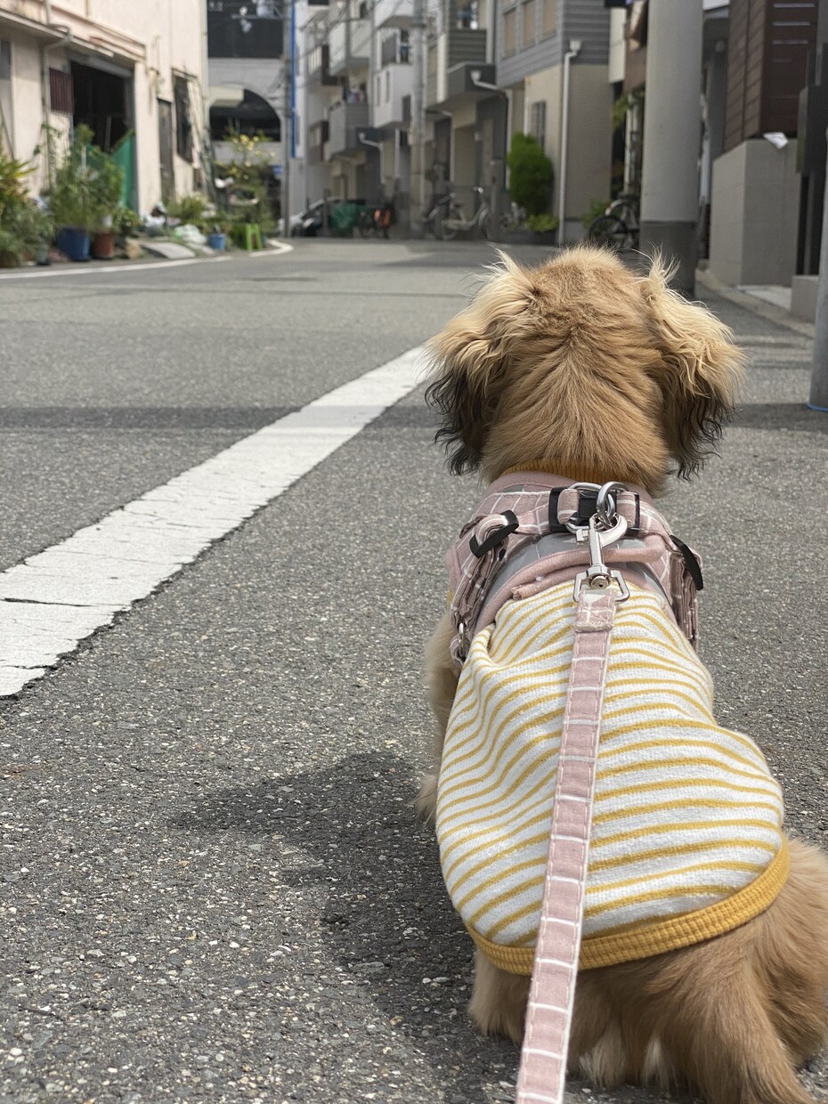 あの人許せない！そんな気持ち受け止めます 嫁姑・夫の無理解など周りに理解されない悩みに寄り添い支えます イメージ4