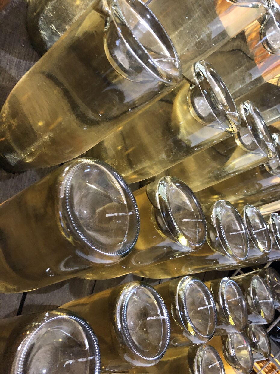 ワインに携わる仕事を受けます ワイン醸造やワインを飲む場所でのお助けマン イメージ1
