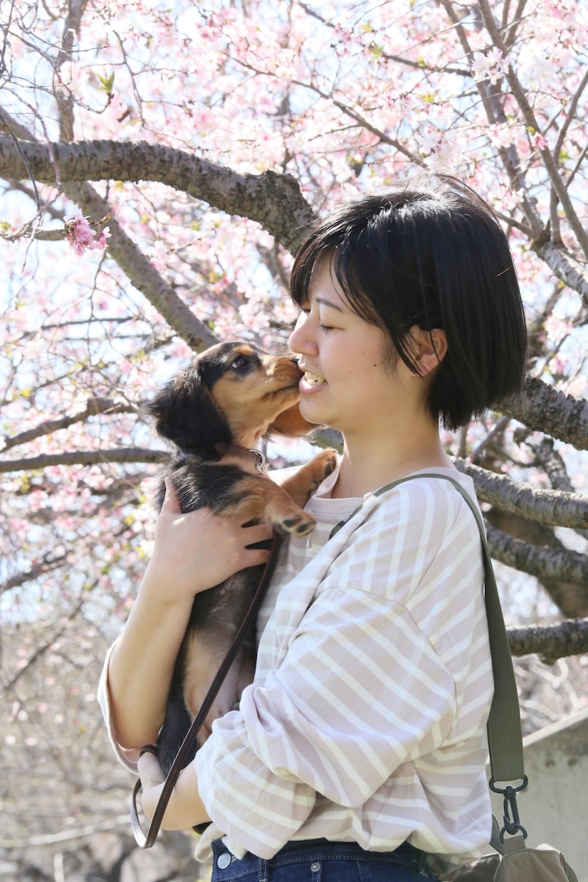 わんこのことご相談のります お迎え前の相談、愛犬とのお楽しみや悩みまでお話聞きます！ イメージ2