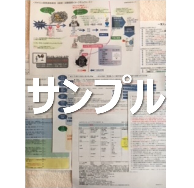 ロープレ（面接実技）で緊張してしまう人を助けます 【合格あんちょこ】国家資格キャリアコンサルタント面接試験対策 イメージ2