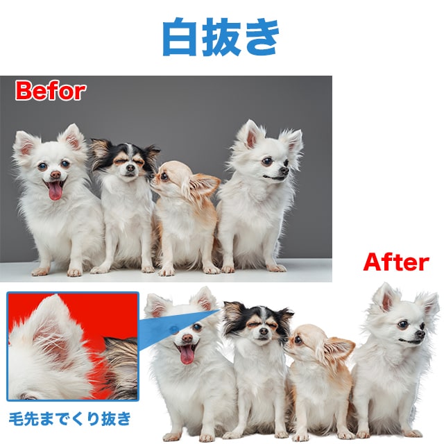 プロのPhotoshop加工で、画像加工を行います 4月まで先着10名限定価格一律で画像加工を承ります。 イメージ4