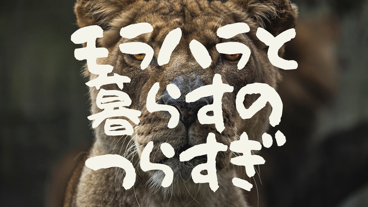 義母の愚痴スッキリするまで全部聞きます あなたを苦しめる義母の悪行吐き出して！私はあなたの味方です イメージ4