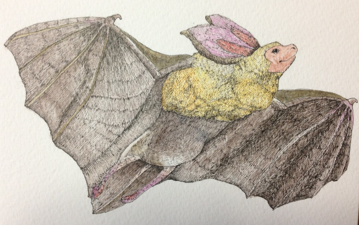 動物の細密画をお描きします プロのデザイナーが作成！個性的な物を求める方に イメージ2