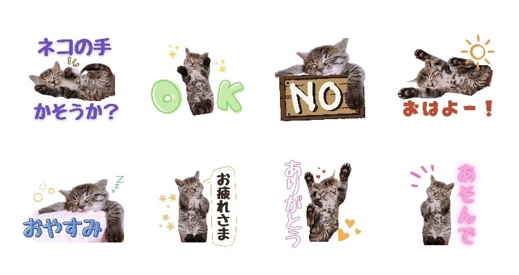 可愛い飼い猫のオリジナルLINEスタンプ作成します ご家族でのご利用や職場の看板猫などお好きなワードで作成！ イメージ3