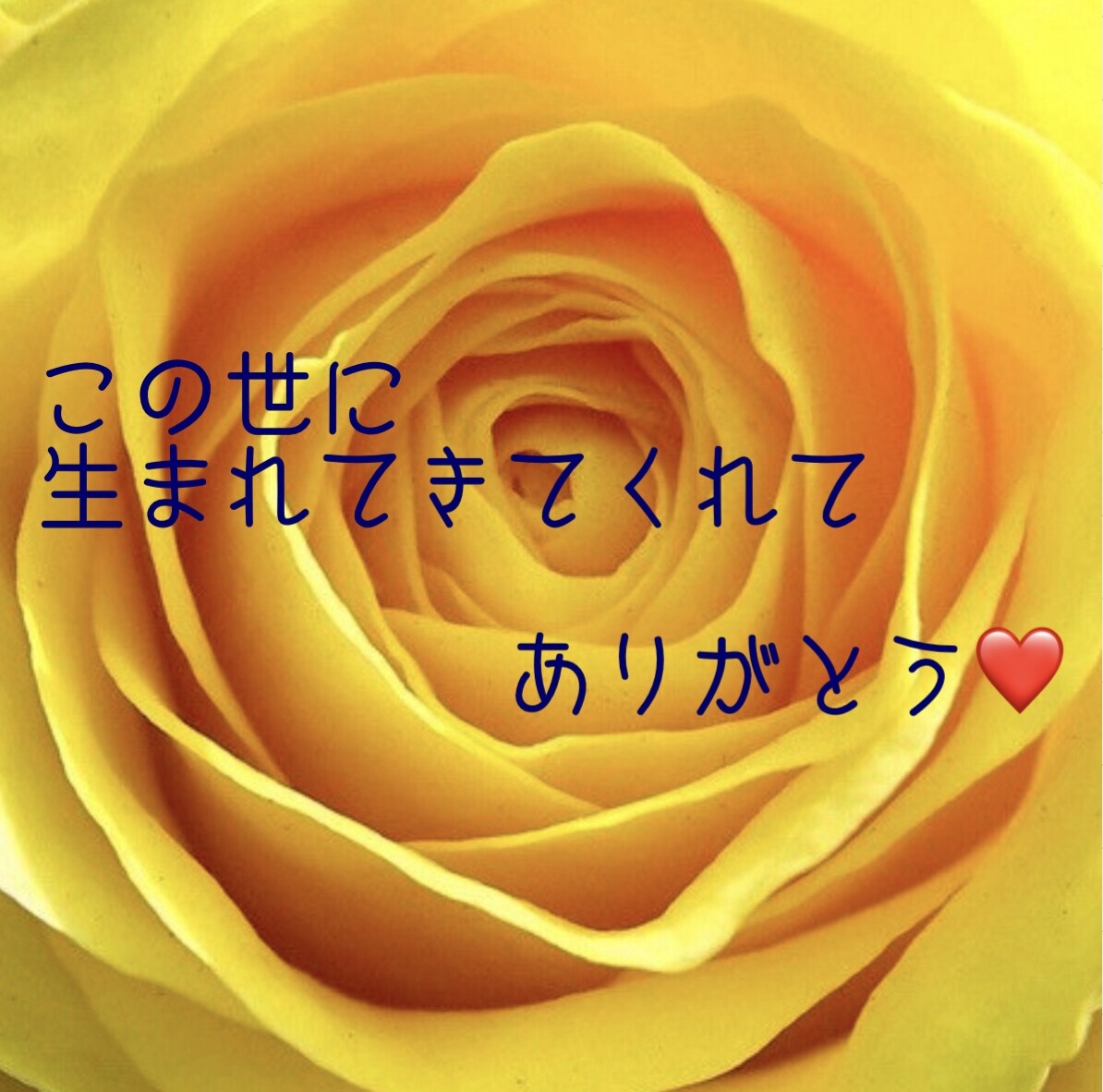子育てストレス、疲労、不安、お聞きします ママ、あなたが大切。ママを笑顔にします♡ イメージ3