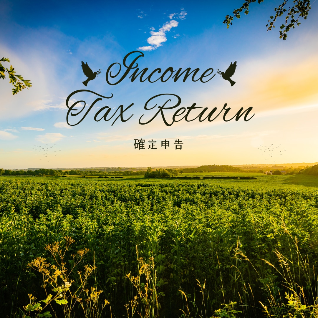 Consulting Tax Returnます For foreigners living in Japan イメージ1