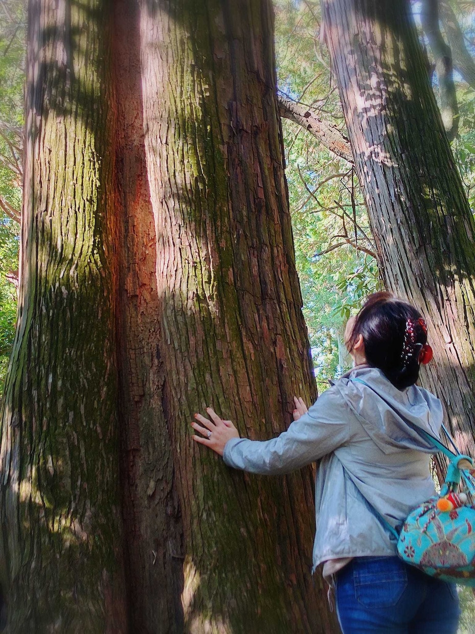 あなたの望む現実を創造します あなたの世界の創造主はあなた自身です。 イメージ3