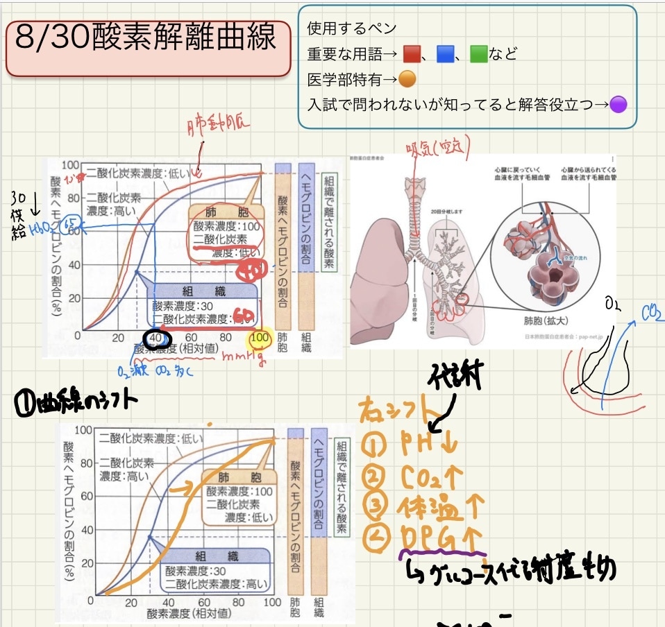 高校、受験生物を元医専プロ講師、現医学生が教えます 都内医学部専門予備校10年間勤務のプロ講師が受験生物を伝授 イメージ2