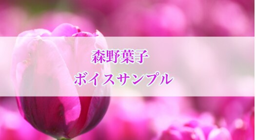 宅録体験！あなたの声を音声ファイルに作成します PC内蔵マイクかスマホでもできちゃう簡単プログラム イメージ2