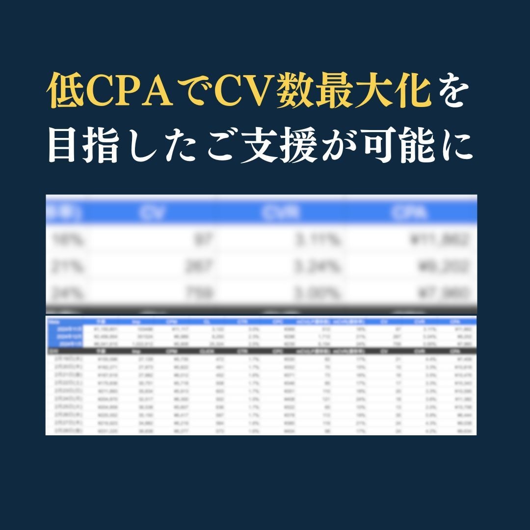 コスメ・健康通販特化！獲得できる記事LP 作ります リピート通販で50社超！広告代理店ノウハウを詰め込みます イメージ5