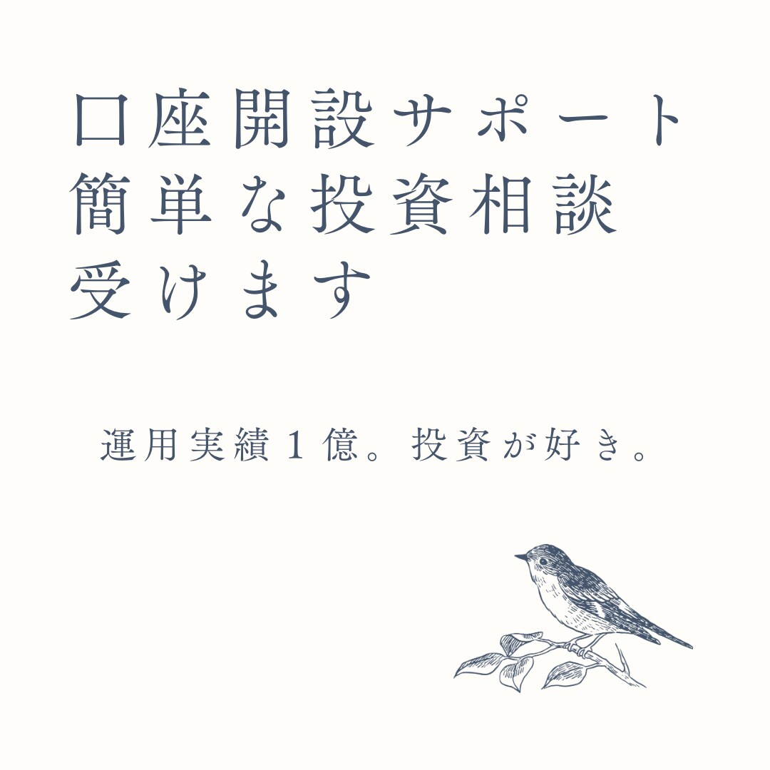 口座開設サポート、投資相談受けます 運用実績１億。無類の投資好きです。 イメージ1