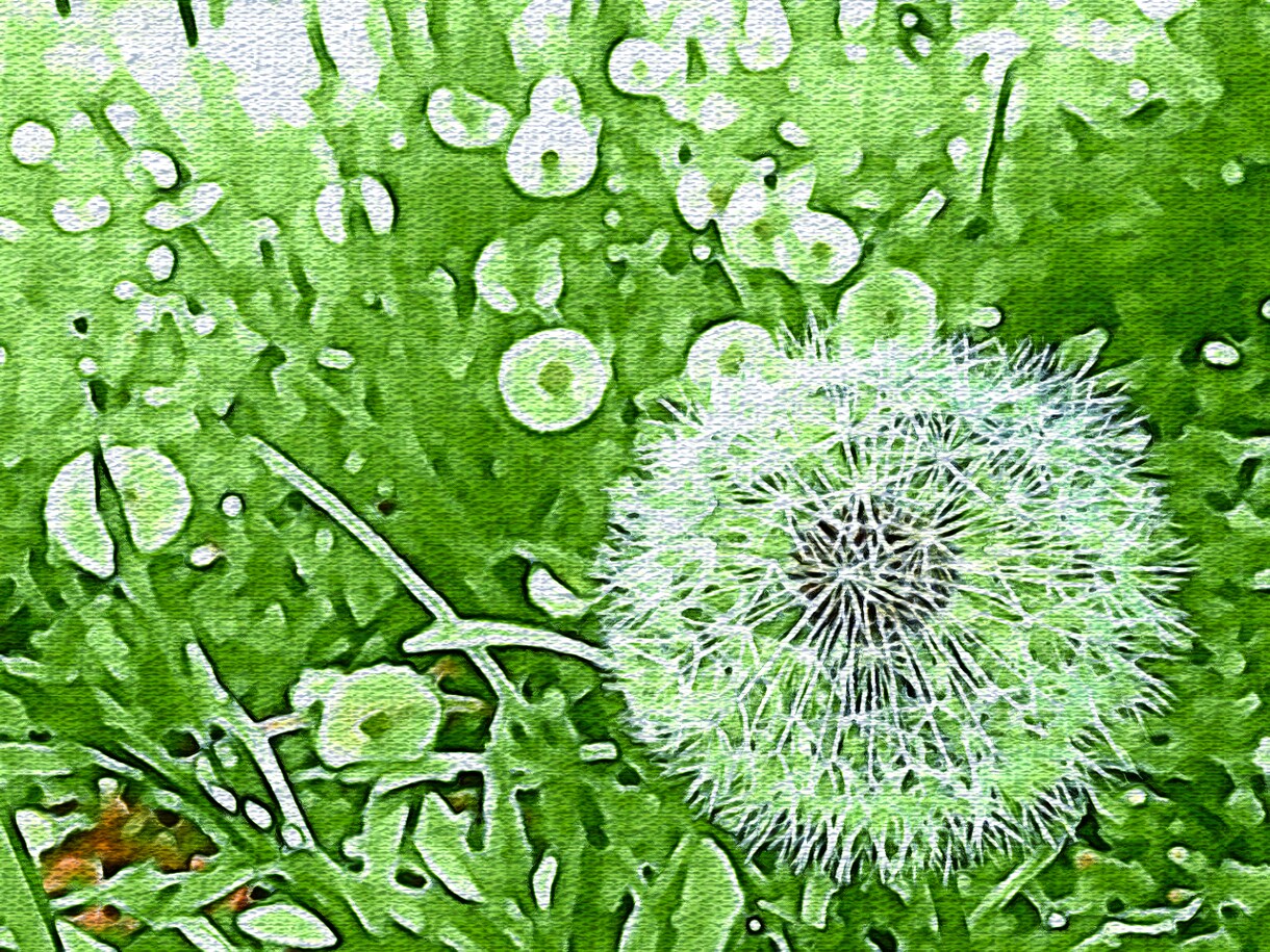 あなたの写真でアート作品を創ります 思い出の詰まったあなたの写真がアート作品になります イメージ10
