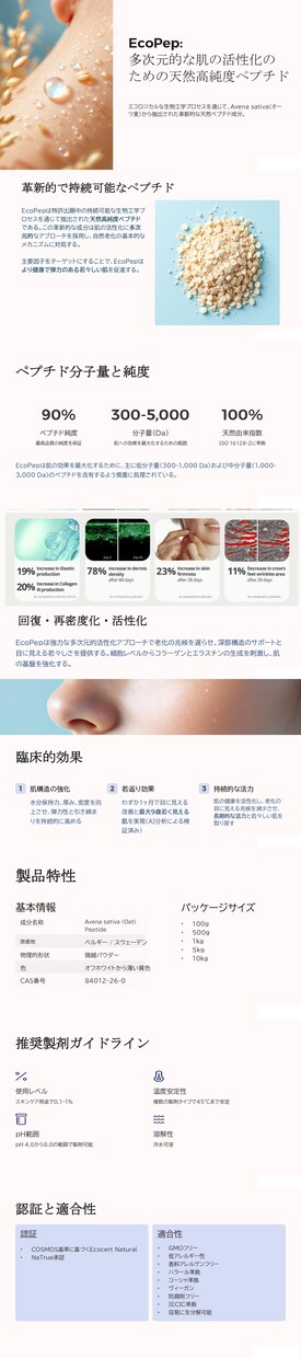 おしゃれな「パンフレット・プレゼン資料」作成します チラシ・会社案内・プレゼン資料など幅広く対応します イメージ1