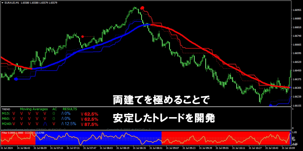 FX【お勧めの両建て手法】教えます 両建て手法の成果を目指す方法を解明しました。これでFXは完了 イメージ5