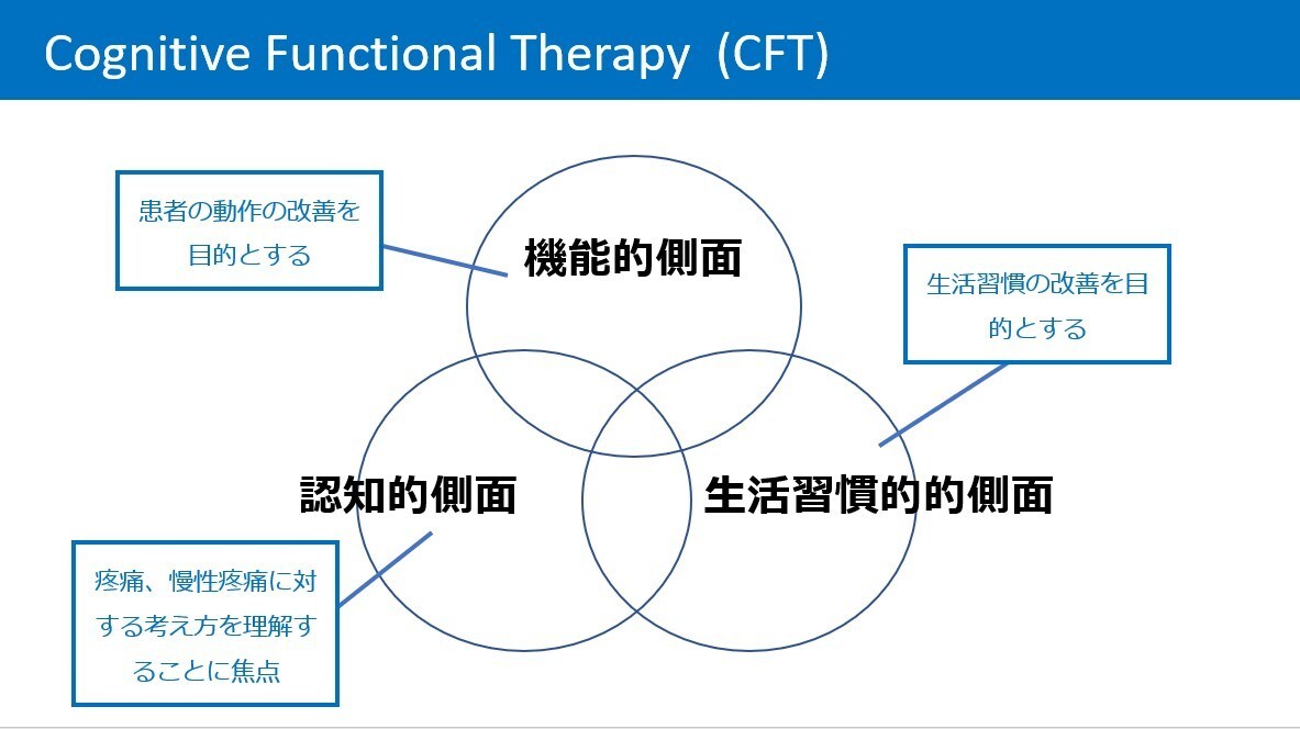 現役理学療法士が勉強会・学会発表の資料作成します 勉強会や発表でのパワーポイントでの資料作成いたします。 イメージ5