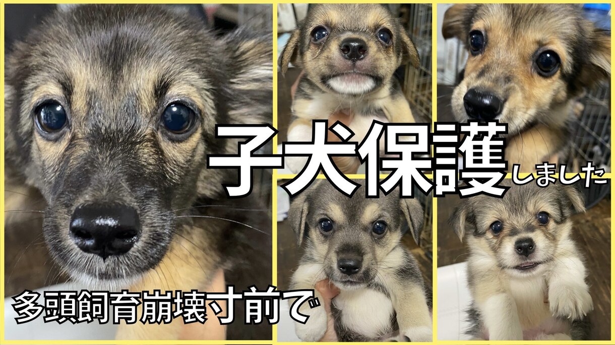 YouTubeの動画制作を行います 動画編集全般できます。ご期待に応えます イメージ1