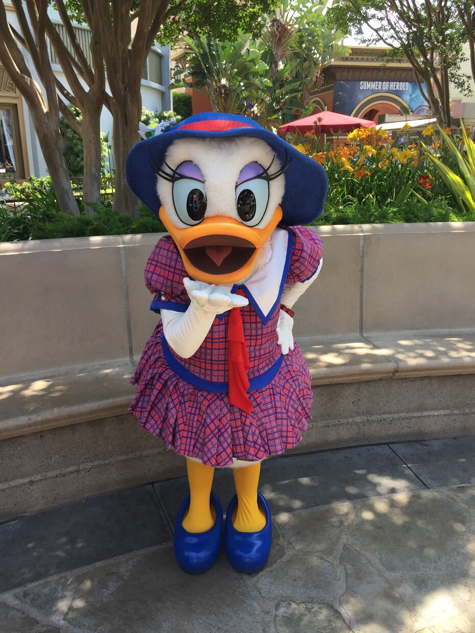 アメリカディズニーパークスでの過ごし方を提案します カリフォルニア在住のマニアがとっておきのプランを作成！ イメージ2