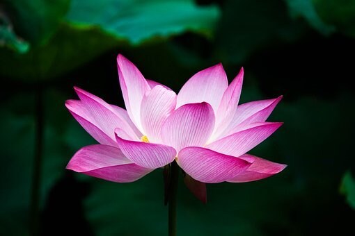 あなたの心が平和になる事を、私は願っています あなただけの相談相手となり、解決へ導きます。 イメージ6