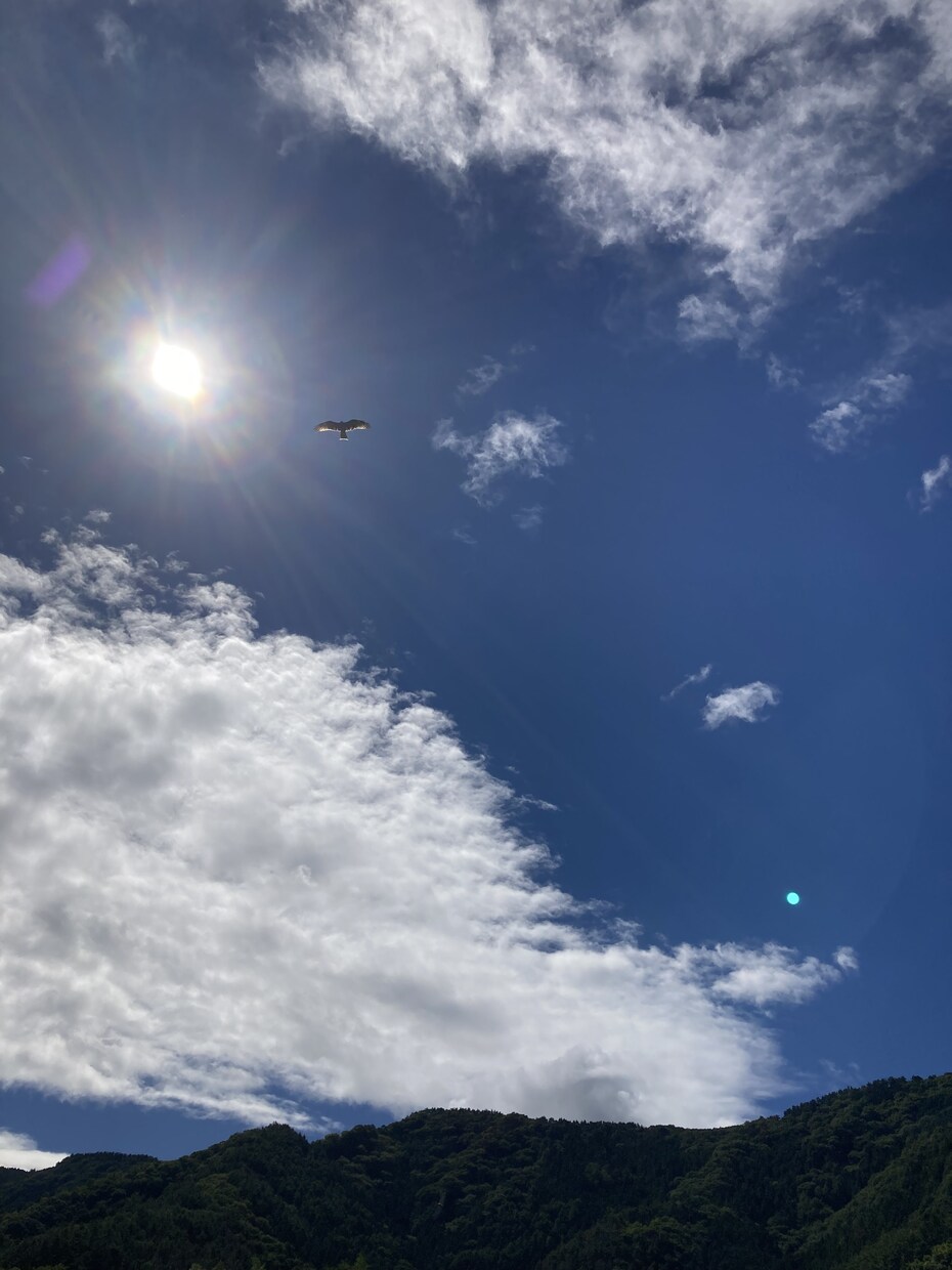 自然や動物などの風景写真を提供します 癒しの風景、旅先などの自然の写真です。心が動く写真。 イメージ1