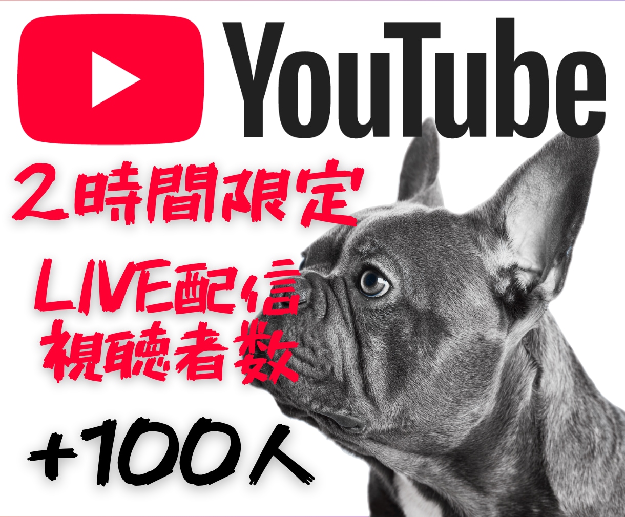 2時間限定✨ライブ配信視聴者100人増やします Youtube✨配信開始から一気に100人の勢いを。 イメージ1