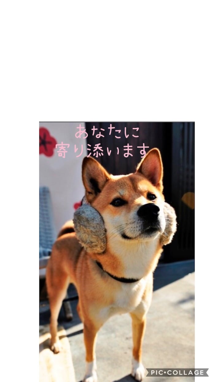 2日間あなたに寄り添います 誰かとちょっと話をしたい方、トークルームでお話しませんか？ イメージ2