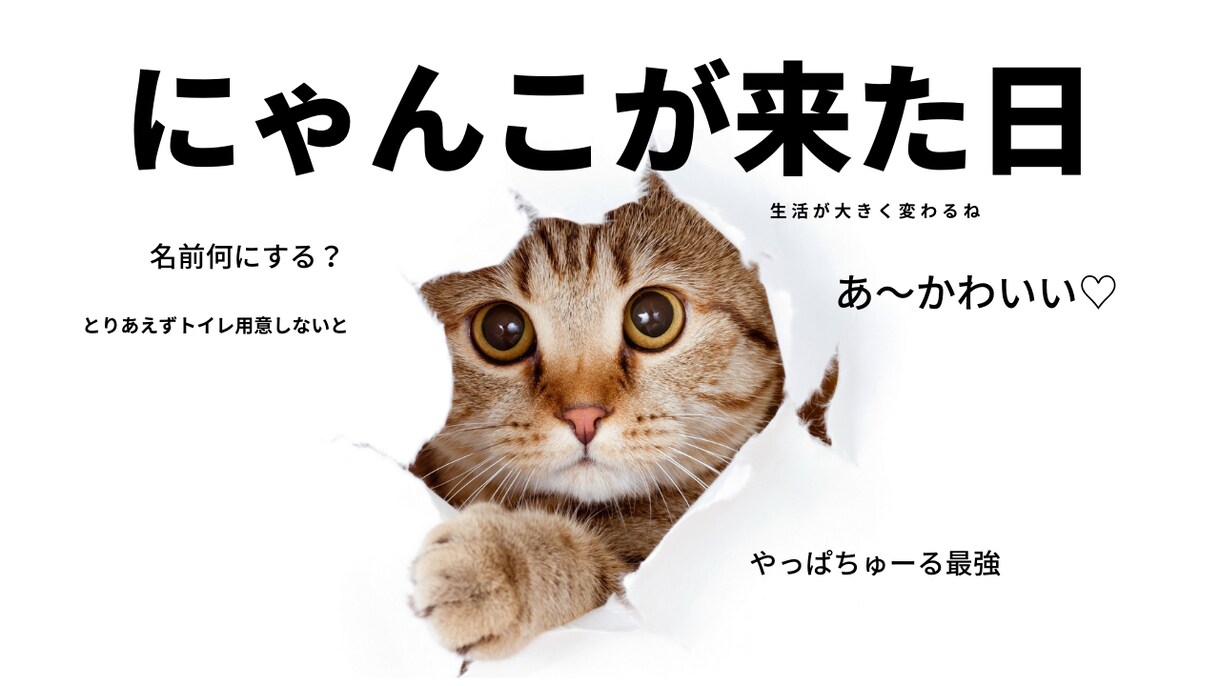 なんでもOK！WEB画像作成します プロチームが高品質なWEB画像提供します。 イメージ3