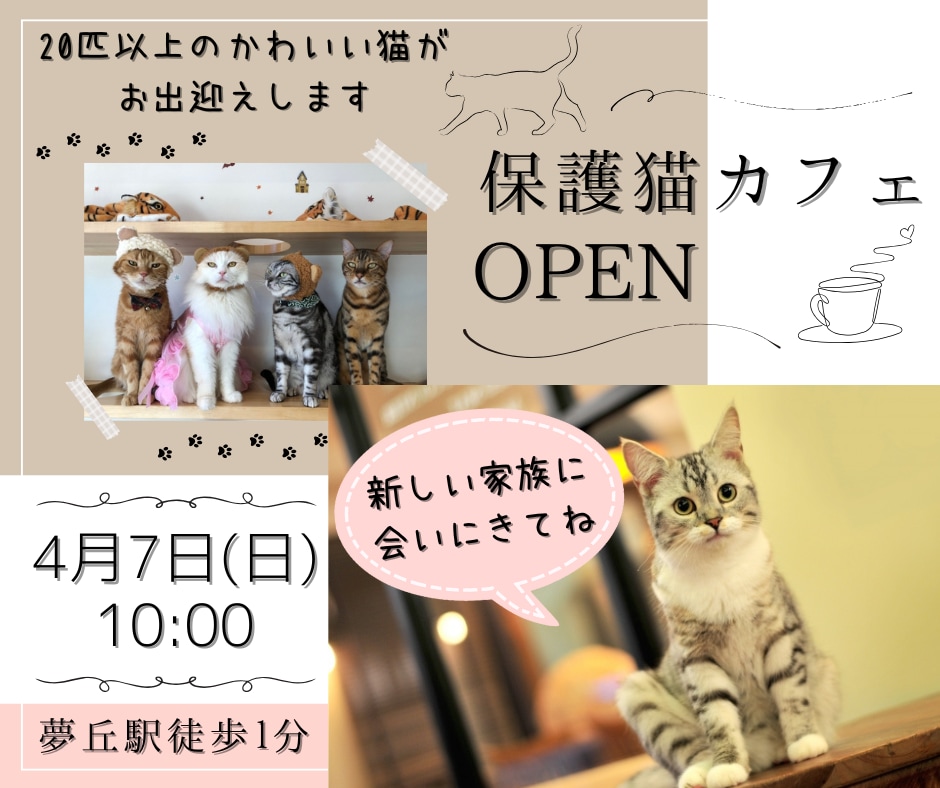 最速2日納品！WEB画像を制作します 目を惹くデザイン♪スピーディーな納品！ イメージ4