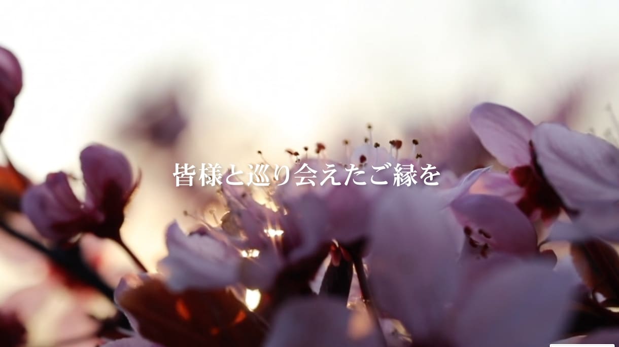 プロが【結婚式オープニングムービー】を作ります わずか1分で会場の空気を変えるオープニングムービー イメージ5