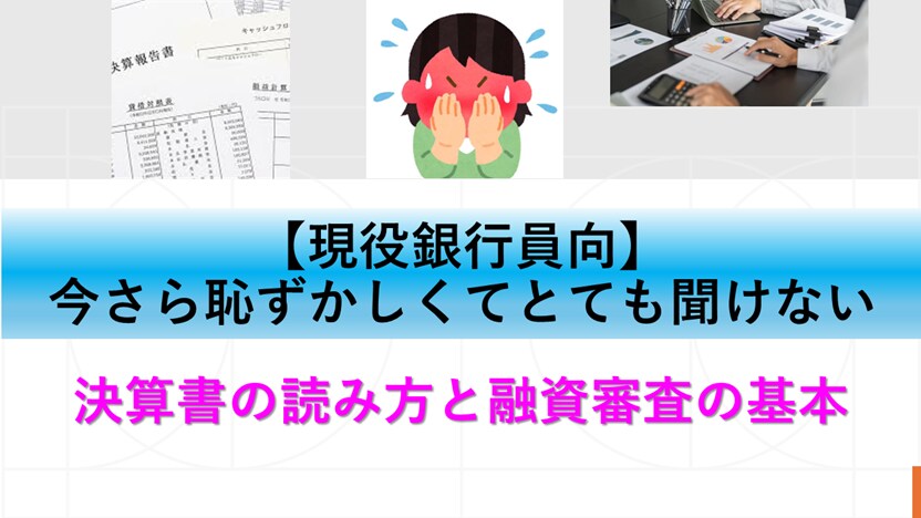 現役銀行員向決算書の読み方と融資審査の基本教えます 今さら聞けない決算書の読み方と融資審査の基本を元銀行員が伝授 イメージ1