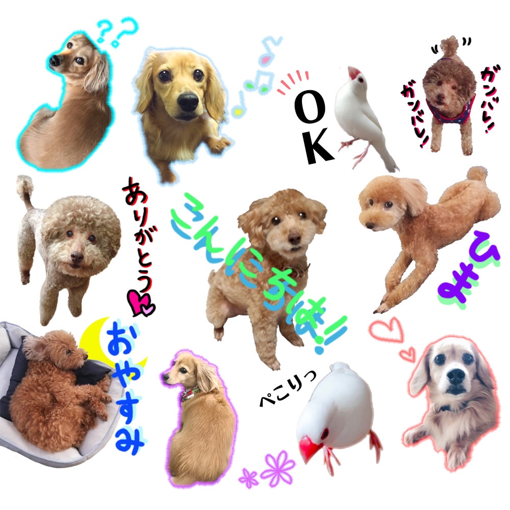 写真でアナタだけの特別なLINEスタンプ作ります !細かい設定可能!どんな写真でも可愛いの作ります! イメージ2