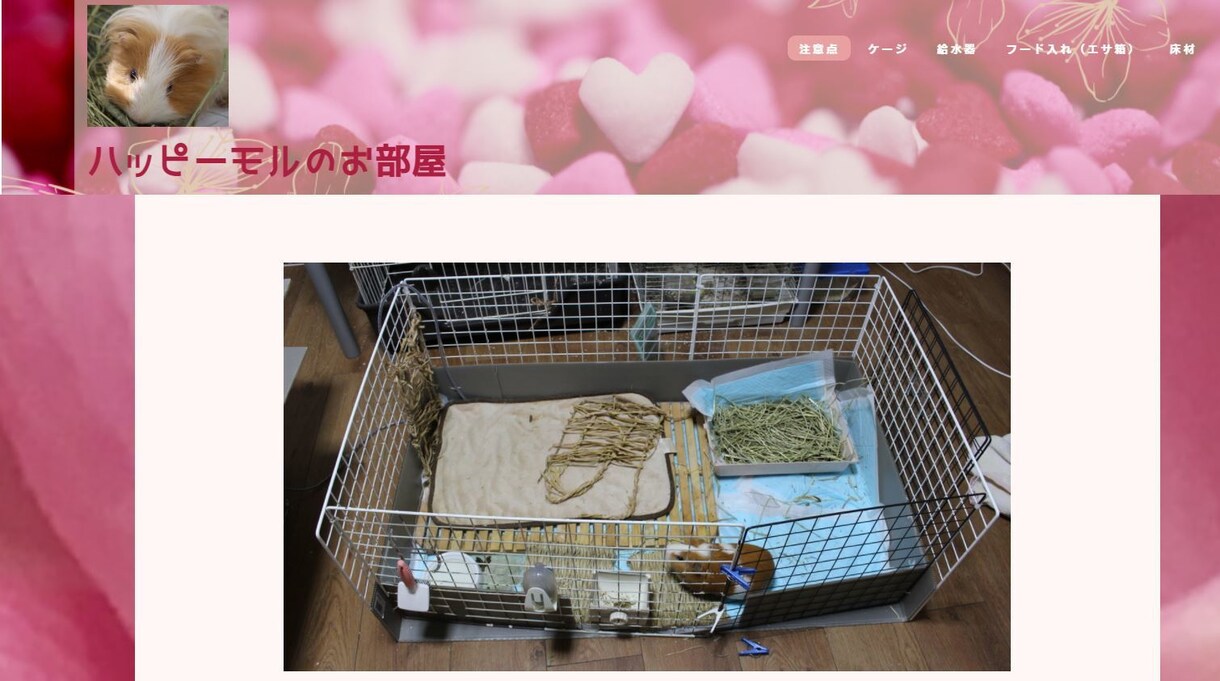 サイト制作します。プラス自分で作りたい方に教えます 将来自分でホームページを編集したい方。教室付きのお値段です。 イメージ5